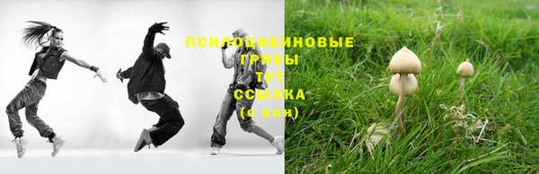 спайс Богородск