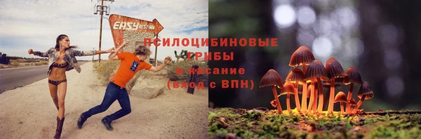 спайс Богородск