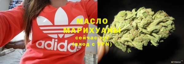 гашик Богородицк
