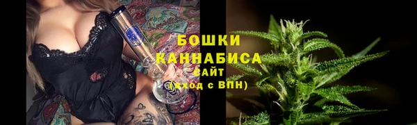 спайс Богородск