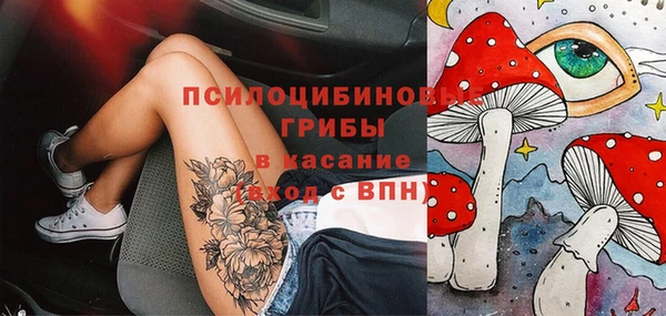 соль ск Богданович