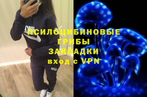 спайс Богородск