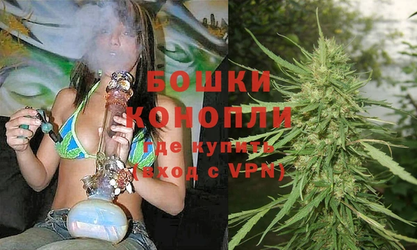 соль ск Богданович