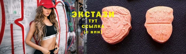 гашик Богородицк