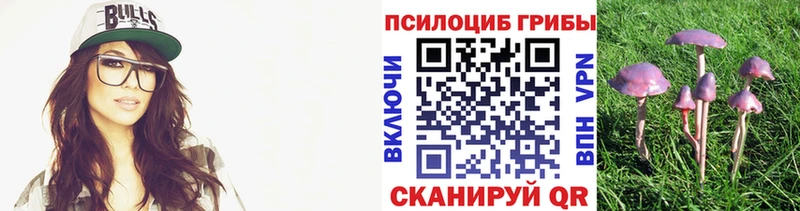 Купить закладки  Губаха  Псилоцибиновые грибы Cubensis 